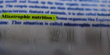 Öğrencilere yönelik eğitimle ilgili kitap sözcüğü terminolojisi hakkında yakın plan görüşle vurgulanmış karışık beslenme sözcüğü.