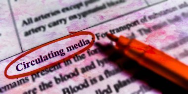 Öğrencilere sunulan eğitimle ilgili kitap sözcüğü terminolojisi hakkında yakın planda vurgulanmış Medya kelimesi.