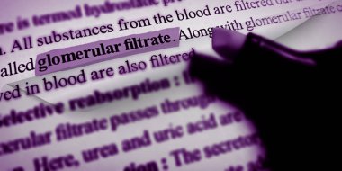 Öğrencilere sunulan eğitimle ilgili kitap terminolojisine yakın plan filtreleme sözcüğü vurgulandı.