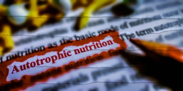 Palabra Nutrición Autotrófica Resaltada Con Vista Primer Plano Sobre Palabra —  Fotos de Stock