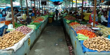DISTRICT KATNI, INDIA - 14 Ağustos 2019: Hint sebzelerinde manav satan Asyalı köy çiftçileri taze tarım pazarı üretiyor.