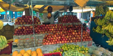 DISTRICT KATNI, INDIA - Eylül 04, 2019: Asya tarımındaki yerel sokak dükkanında papaya tutan Hint meyve satıcısı ürün pazarı.