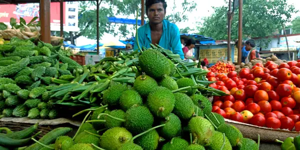District Katni India August 2019 Asian Village People Presenting Greengrocery — Stock Photo, Image