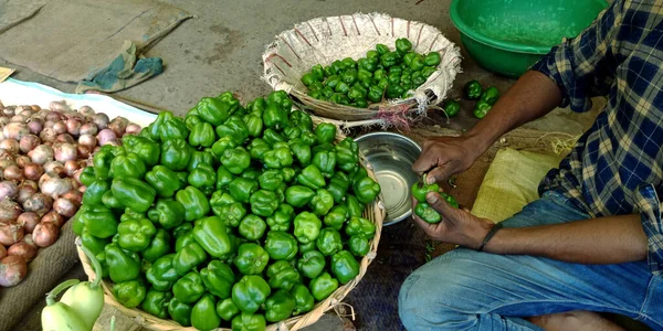 District Katni India Octubre 2019 Verdulero Pueblo Indio Exhibe Pimiento — Foto de Stock