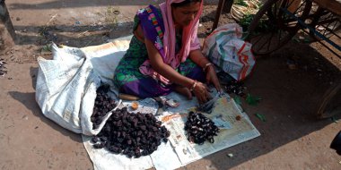 DİSTRİK KATNI, INDIA - 13 Ekim 2019: Hindistan köyünde fakir bir kadın sokakta kestane satıyor.