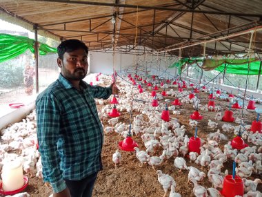 DİSTRİK KATNI, Hindistan - 07 Aralık 2019: Kümes hayvanlarında tavuk sunan Hintli bir adam.