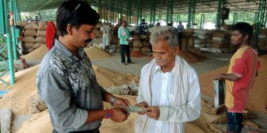 DISTRICT KATNI, INDIA - AĞUSTOS 06, 2019: Hindistan köyü çiftçileri tarımda satış ücreti alıyorlar hükümet gıda şirketlerinin pazarında üretim yapıyorlar.