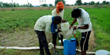 DİSTRİK KATNI, INDIA - 3 Ağustos 2019: Hint köyü çiftçileri solucanlardan ekinleri korumak için yeşil tarımda böcek ilacı üretiyorlar.