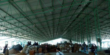 DISTRICT KATNI, INDIA - 04 Ağustos 2019: Hindistan köyü çiftçi kalabalığı Hindistan 'ın gıda şirketinde tarım galla mandi.