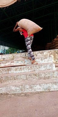 DISTRICT KATNI, INDIA - 04 Ağustos 2019: Hindistan köyü çiftçisi Hindistan 'ın gıda şirketinde tarım galla mandi' sinde tohum torbası taşıyor.