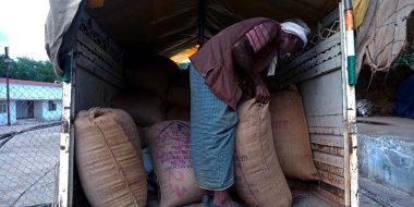 DISTRICT KATNI, INDIA - 04 Ağustos 2019: Hindistan köyü yaşlı çiftçisi Hindistanın gıda şirketinde tarım galla mandi 'sine yüklü kamyon yüklüyor.