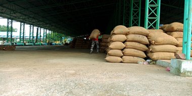 DISTRICT KATNI, INDIA - 04 Ağustos 2019: Hindistan köyü çiftçisi Hindistan 'ın gıda şirketinde tarım galla mandi' de çalışıyor.