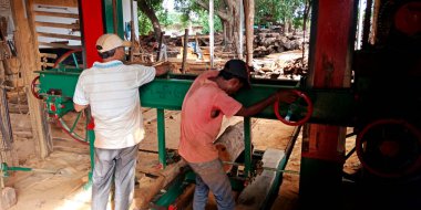 DİSTRİK KATNI, Hindistan - 16 Eylül 2019: Asyalı erkek marangoz kereste fabrikasında kereste kesme makinesi.