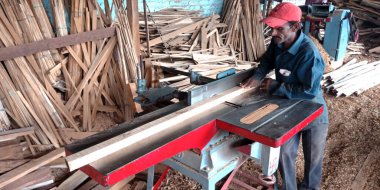 DISTRICT KATNI, INDIA - 16 Eylül 2019: Saw Mill şantiyesindeki elektrik makinesinden odun kesen Asyalı ahşap işçisi.