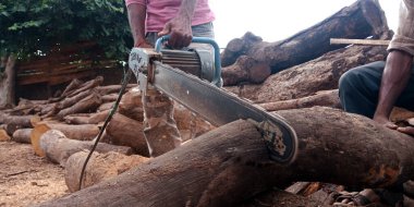 DISTRICT KATNI, INDIA - 16 Eylül 2019: Saw Mill şantiyesindeki elektrik makinesinden odun kesen Asyalı ahşap işçisi.