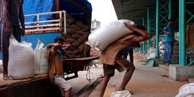 DİSTRİK KATNI, Hindistan - 18 Eylül 2019: Hindistan 'ın gıda şirketinin etrafındaki buğday çuvallarını boşaltan fakir işçi düştü.