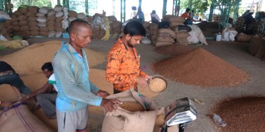 DISTRICT KATNI, INDIA - 18 Eylül 2019: Asyalı köy çiftçileri, Tozlu arka planda Hint gıda şirketinin godown 'unda çuvaldan tohum çıkarıyorlar.