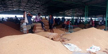 DISTRICT KATNI, INDIA - 18 Eylül 2019: Tozlu arka planda Hint gıda şirketinde çalışan Asyalı köy çiftçileri kalabalığı.