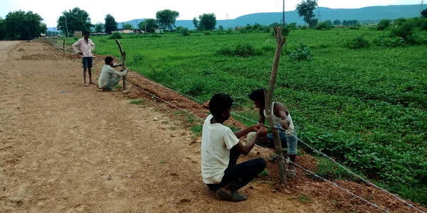 DİSTRİK KATNI, INDIA - 3 Ağustos 2019: Hint köyü çiftçileri yeşil tarım sahasında hayvan koruması için tel örgü örüyorlar.