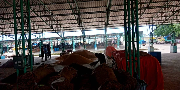 DISTRICT KATNI, INDIA - 04 Ağustos 2019: Hindistan köyü çiftçisi Hindistan 'ın gıda şirketinde tarım galla mandi' de çalışıyor.