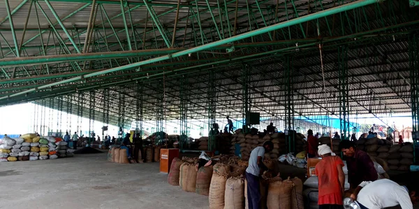 DISTRICT KATNI, INDIA - 04 Ağustos 2019: Hindistan köyü çiftçisi Hindistan 'ın gıda şirketinde tarım galla mandi' de çalışıyor.