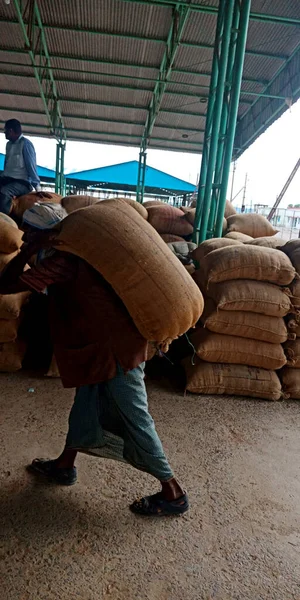 DISTRICT KATNI, INDIA - AĞUSTOS 04, 2019: Hindistan köyü çiftçisi buğday tohumlarını Hindistan 'ın gıda şirketinde tarım galla mandi' sinde elle geri taşır..