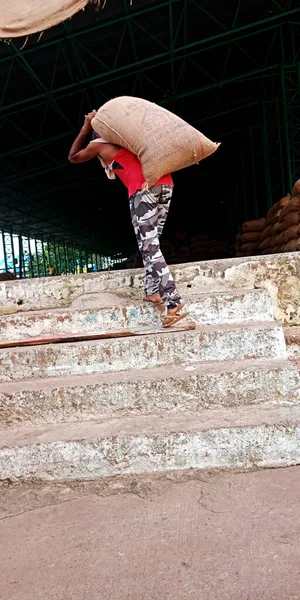 DISTRICT KATNI, INDIA - 04 Ağustos 2019: Hindistan köyü çiftçisi Hindistan 'ın gıda şirketinde tarım galla mandi' sinde tohum torbası taşıyor.