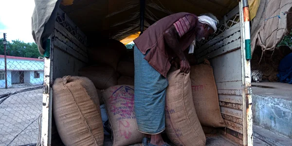 DISTRICT KATNI, INDIA - 04 Ağustos 2019: Hindistan köyü yaşlı çiftçisi Hindistanın gıda şirketinde tarım galla mandi 'sine yüklü kamyon yüklüyor.