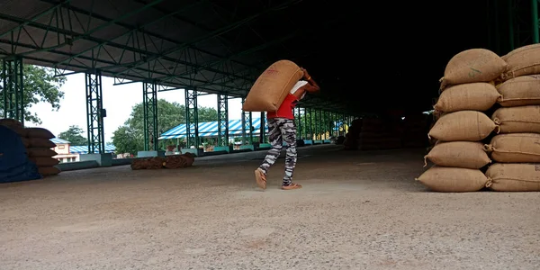 DISTRICT KATNI, INDIA - 04 Ağustos 2019: Hindistan köyü çiftçisi Hindistan 'ın gıda şirketinde tarım galla mandi' sinde naklediliyor.