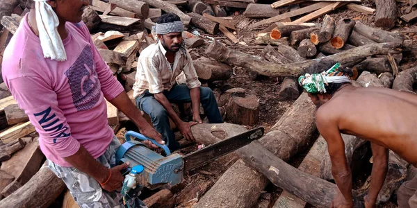 District Katni India Září 2019 Asijský Dřevorubec Sekající Klády Elektrického — Stock fotografie