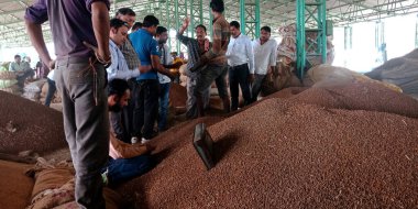 DİSTRİK KATNI, Hindistan - 18 Eylül 2019: Hindistan 'ın gıda şirketinin çevresinde buğday tohumu arayan Hintli fakirler battı.