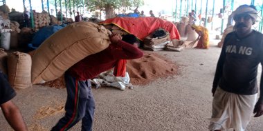 DISTRICT KATNI, Hindistan - 18 Eylül 2019: Hindistan köyü işçi taşıma malları ham gıda tahıl tarım pazarında.