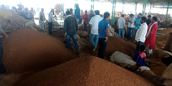 DISTRICT KATNI, INDIA - 18 Eylül 2019: Asyalı köy çiftçileri, Dusty arka planındaki Hint gıda şirketinde birlikte çalışarak kalabalıklaştı.