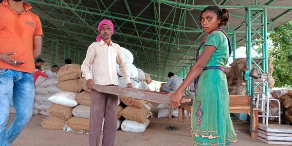 DISTRICT KATNI, INDIA - 18 Eylül 2019: Tozlu arka planda Hindistan gıda şirketinde buğday tohumlarını elle filtreleyen Asya köyünün babası ve kızı.