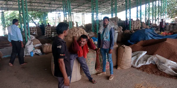 DİSTRİK KATNI, Hindistan - 18 Eylül 2019: Hindistan 'ın gıda şirketinin etrafına buğday çuvalları yükleyen fakir insanlar dibe vurdu.