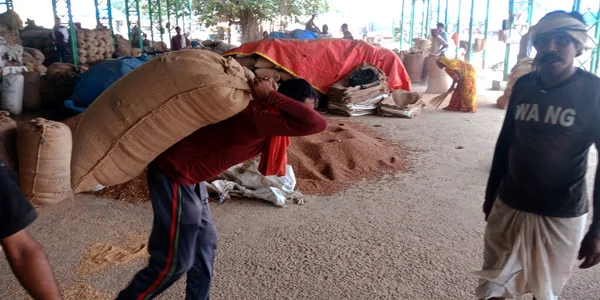 DISTRICT KATNI, Hindistan - 18 Eylül 2019: Hindistan köyü işçi taşıma malları ham gıda tahıl tarım pazarında.