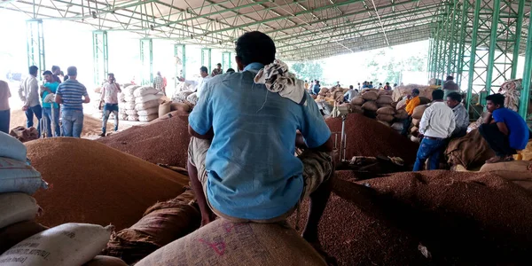 DİSTRİK KATNI, Hindistan - 18 Eylül 2019: Hindistan köyü çiftçisi buğday çuvalının üzerine oturmuş Hindistan gıda şirketinin etrafında batıyor.