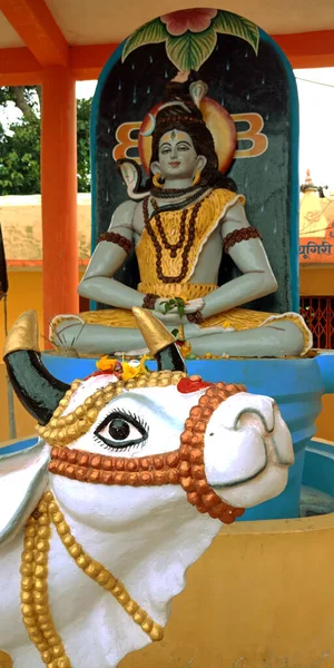 District Katni India December 2019 Religious Cow Face Called Lord — 스톡 사진