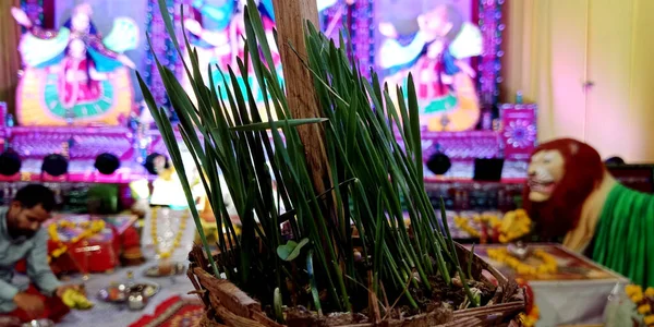 District Katni India Ekim 2019 Hindu Navratri Festivali Için Lord — Stok fotoğraf