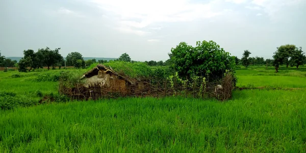 Fondo Rural Agrícola Con Suelo Pueblo Patrimonio Hecho Casa Vista — Foto de Stock