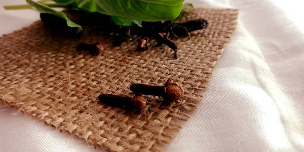 Frisch Weiße Schwarze Isolierte Doppelnelke Mit Set Gemischtes Grünes Blatt — Stockfoto