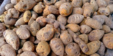 Pazarlama tanıtımı için Asya 'daki çeşitli Dry ham zerdeçal sergilendi.