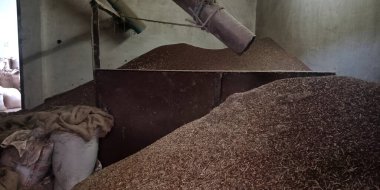 Paslı pirinç kabukları tozlu zemine serpilmiş..