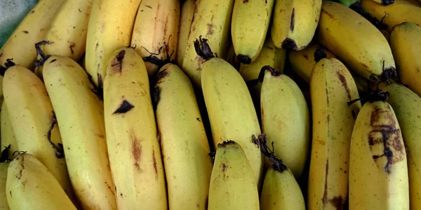 Frische Grüne Banane Isoliert Mit Einer Reihe Von Früchten Sammlung — Stockfoto