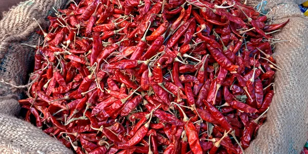 Variedad India Chiles Rojos Secos Presentados Con Fines Comercialización — Foto de Stock