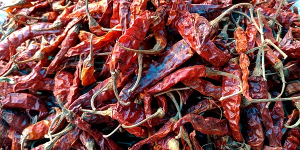 Asian variety of Dry red chillies presented for marketing purpose.