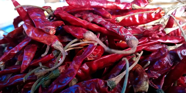 Rouge Sec Piments Gros Ingrédient Pour Cuisine Épicée Appelé Dans — Photo