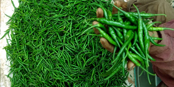 Färsk Grön Chili Isolera Till Hands Med Mix Jordbruk Producera — Stockfoto