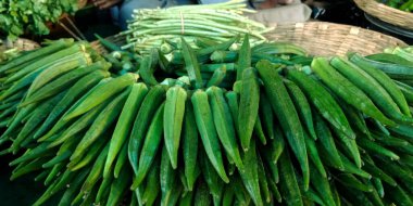 Taze yeşil kadın parmağı. Karışık tarımla izole edilmiş. Çiftçilerin pazar geçmişini oluşturuyor..