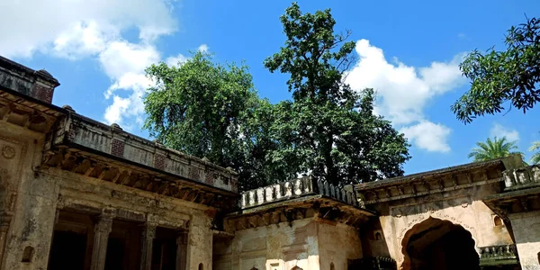 Districto Katni India Octubre 2019 Árbol Alrededor Pared Antigua Fortaleza —  Fotos de Stock